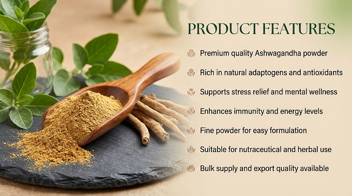 Ashwagandha Powder Bulk Supplier