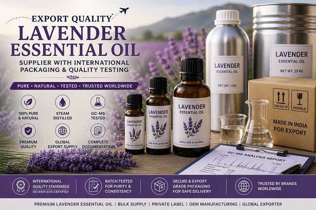 Export quality lavender essential oil supplier with international packaging and quality testing